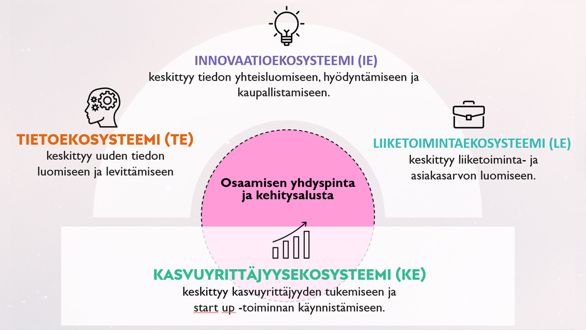 ekosysteemikokonaisuus kaavio